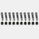 Ford Racing Mustang/GT350 Extended Wheel Stud & Nut Kit - Mammoth Racing -