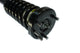 KYB Shocks & Struts Strut Plus Front Right Honda Accord 03-07 - Mammoth Racing -