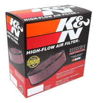 K&N Replacement Air Filter BMW 750/760 Series 4.8l-v8/6.0l-v12; 07-08 (2 PER Box) - Mammoth Racing -