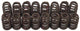 Edelbrock 5768 VALVE SPRINGS - Mammoth Racing -5768