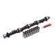 Edelbrock 7177 CAMSHAFT KIT - Mammoth Racing -7177
