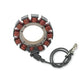 Accel 152109 Unmolded Lectric Stator - My Store
