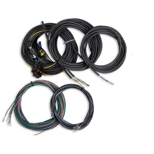 Holley EFI 558-436 Terminated Vehicle Harness For Digital Dash Wiring Harness For Digital Dash Terminated Vehicle Harness For Digital Dash - My Store