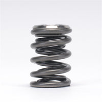 Skunk2 Alpha Series Honda/Acura K Series Valve Spring and Titanium Retainer Kit - Mammoth Racing -