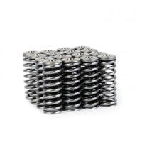 Skunk2 Alpha Series Honda/Acura D Series Valve Spring and Titanium Retainer Kit - Mammoth Racing -