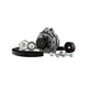 Ford Racing Gen 3 Coyote 175Amp Alternator Kit - Mammoth Racing -