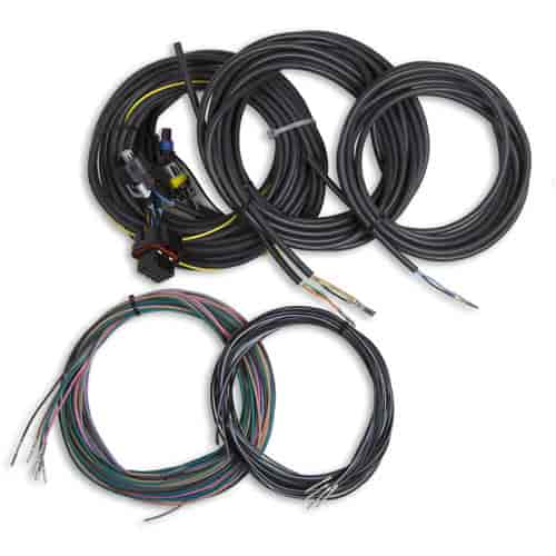 Holley EFI 558-436 Terminated Vehicle Harness For Digital Dash Wiring Harness For Digital Dash Terminated Vehicle Harness For Digital Dash - My Store