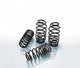 Eibach E10-20-031-01-22 Pro-Kit Performance Spring (Set of 4 Spring) - My Store