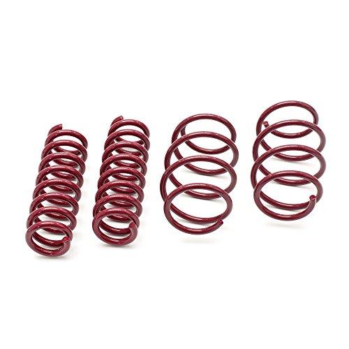 Vogtland 956097 Lowering Springs - My Store