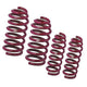 Vogtland 951749 Sport Lowering Spring Kit - My Store