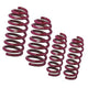 Vogtland 957079 Sport Lowering Spring Kit - My Store