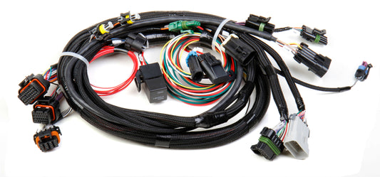Holley 558-101 TPI/Stealth Ram Main Harness - My Store