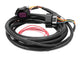 Holley EFI 558-429 Dominator EFI GM Drive By Wire Harness Early GM Truck Dominator EFI GM Drive By Wire Harness - My Store