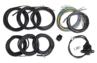 Holley EFI 558-433 Digital Dash I/O Adapter w/Unterminated Vehicle Harness - My Store