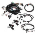 Holley EFI 558-505 Injector Harness For Use w/1999-2004 Ford Modular 2V Engines Incl. - My Store