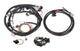 Holley EFI 558-508 Injector Harness Fits w/Dominator Or HP ECU Bosch Injector Incl. - My Store