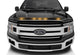 AVS 2016-2018 Ford F-150 Aeroskin LightShield Color Hood Protector, Shadow Black - Mammoth Racing -