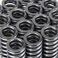 Skunk2 Alpha Series Honda D Series Vtec Valve Spring Set - Mammoth Racing -