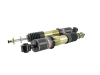 Skunk2 14-15 Honda Civic Pro ST Coilovers - Mammoth Racing -
