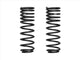 Icon 1997+ NIssan Patrol (y61) 2in Dual Rate Spring Kit - Mammoth Racing -