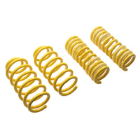 ST Sport-tech Lowering Springs Chrysler 300c 2WD / Dodge Charger Challenger Magnum - My Store