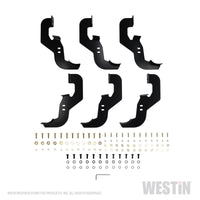 Westin 2019 Chevrolet Silverado/Sierra 1500 Crew Cab Non LD PRO TRAXX 4 Oval Nerf Step Bars - Black - Mammoth Racing -