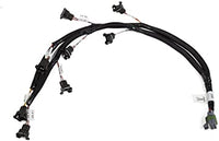 Holley 558-211 Universal Multi-Point Main Harness - My Store
