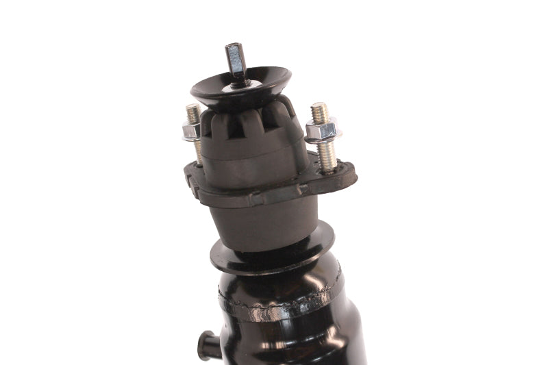 KYB Shocks & Struts Strut Plus Rear BUICK LeSabre 2005-2000 - Mammoth Racing -