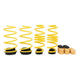 ST Adjustable Lowering Springs 2022+ Volkswagen Golf Viii Gti/r (mqb) - My Store