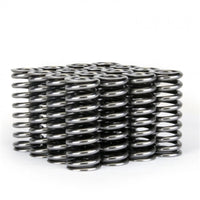 Skunk2 Alpha Series Honda D Series Vtec Valve Spring Set - Mammoth Racing -