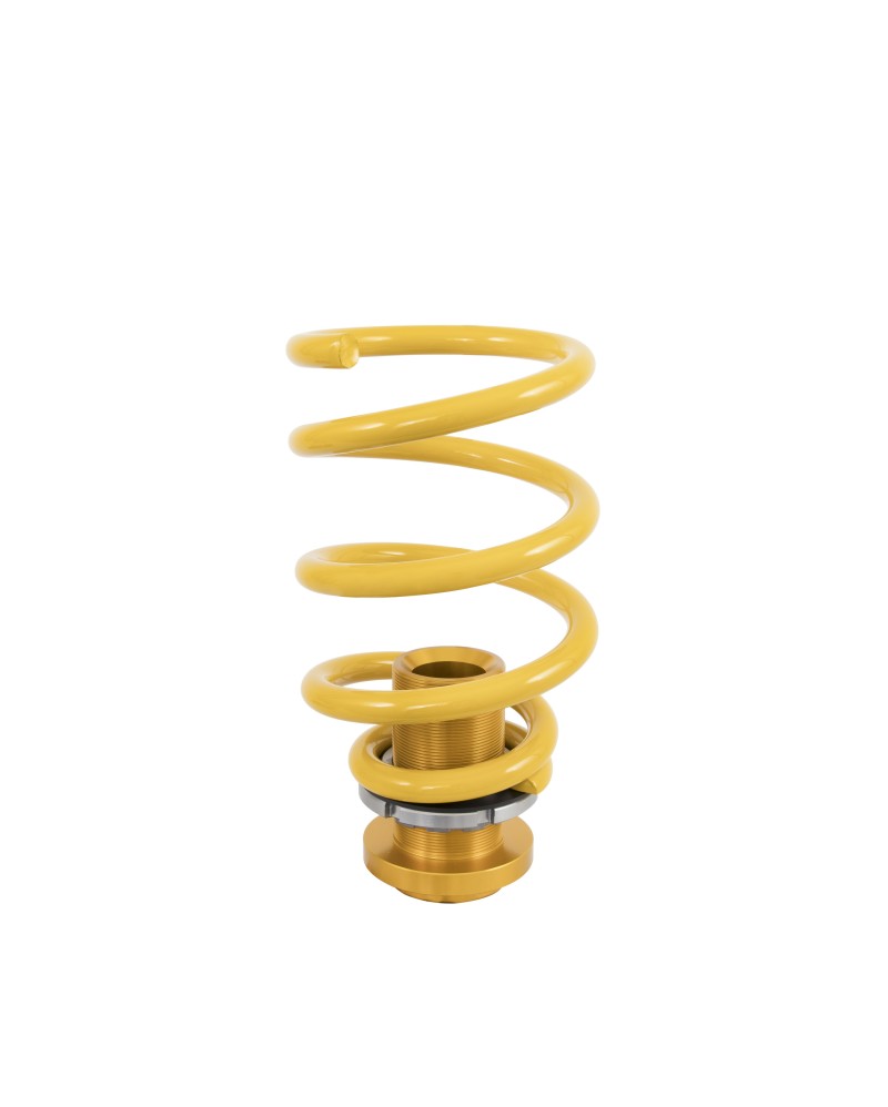 Ohlins 16-18 Ford Focus RS Road & Track Coilover System - Mammoth Racing -