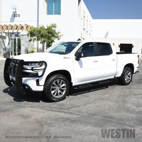Westin 2019 Chevrolet Silverado/Sierra 1500 Crew Cab Platinum 4 Oval Nerf Step Bars - Black - Mammoth Racing -