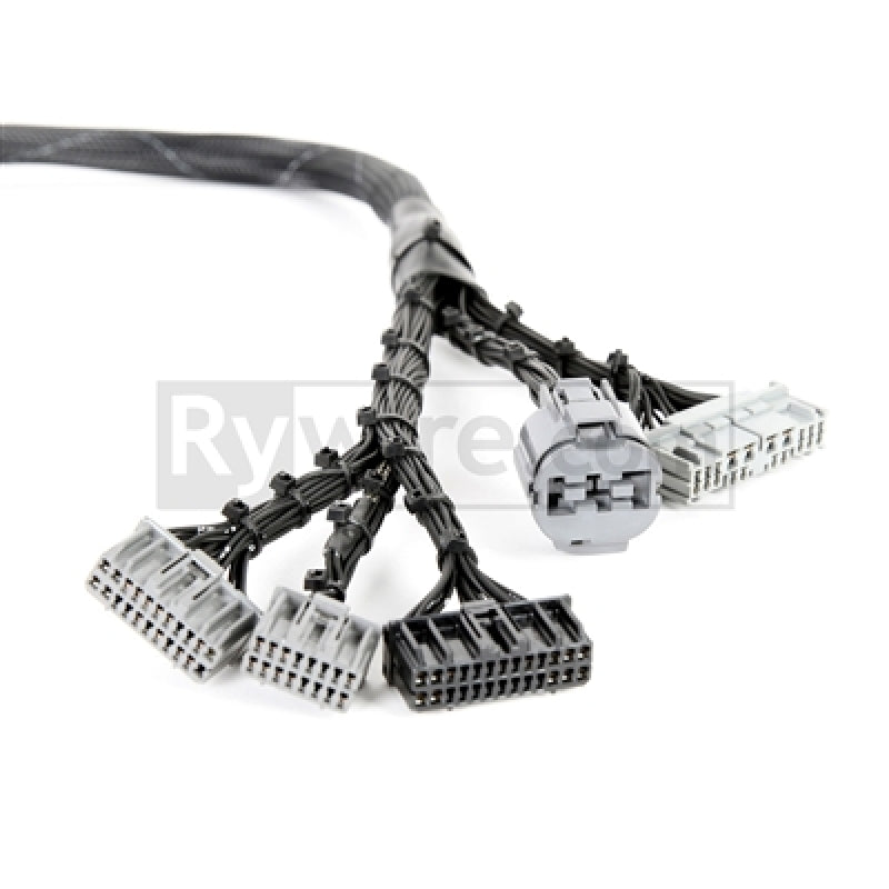 Rywire Honda B-Series OBD1 Tuck Budget Eng Harness w/OBD1 Dist/Inj/Alt/92-95 ECU Plugs (Adapter Req) - Mammoth Racing -