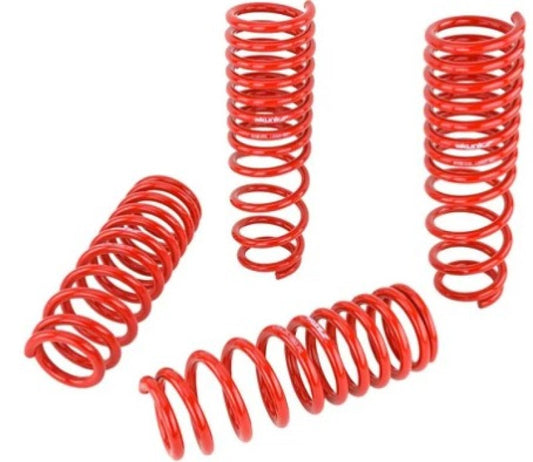 Skunk2 92-95 Honda Civic/Del Sol Lowering Springs (2.50in - 2.25in.) (Set of 4) - Mammoth Racing -