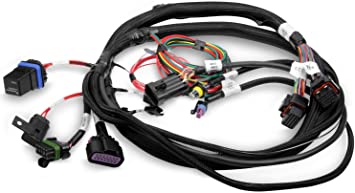 Holley 558-414 Terminator EFI Wiring Harness - My Store