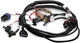 Holley 558-414 Terminator EFI Wiring Harness - My Store
