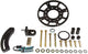 MSD CO. 86403 Crank Trigger Kit, Ford Small Block, BLK - My Store
