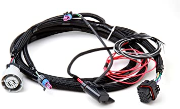 Holley 558-405 Fuel Injection Wire Harness - My Store