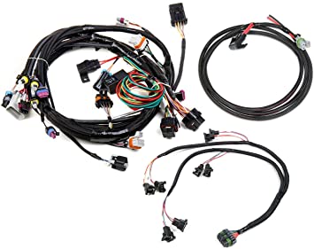 Holley EFI 558-500 Fuel Injection Wire Harness For Use w/HP Or Dominator ECU Works w/LS1/LS6 And 24 Tooth Crank Sensor Fuel Injection Wire Harness - My Store