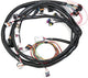 Holley 558-104 Universal Multi-Point Main Harness - My Store