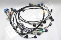 Rywire Honda S2000 AP1/AP2 (Early) Mil-Spec Engine Harness w/OEM Coils/Injector/ECU Plugs - Mammoth Racing -