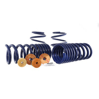 Ford Racing 15-22 Mustang Track Lowering Spring Kit - Mammoth Racing -