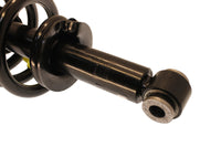 KYB Shocks & Struts Strut Plus Rear Ford Expedition (2wd/4wd) 2006-2003 - Mammoth Racing -