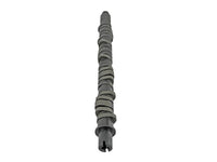 Skunk2 Tuner Series D-Series Honda Stage 4 Camshaft - Mammoth Racing -