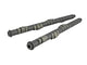Skunk2 Tuner Series Honda H22a/f20b Dohc Vtec Stage 2 Cam Shafts - Mammoth Racing -