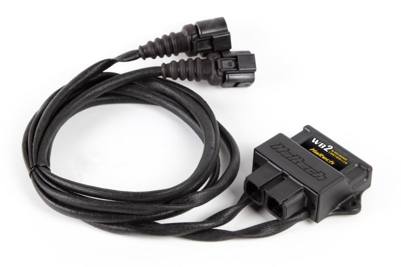 Haltech WB2 Dual Channel CAN O2 Wideband Controller Kit - Mammoth Racing -