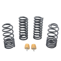 ST Sport-tech Lowering Springs Ford Mustang 3rd gen. / 4th gen. - My Store