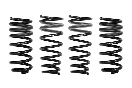 Eibach Pro-Kit for 2012-2018 Porsche 911 Carrera Coupe - Mammoth Racing -