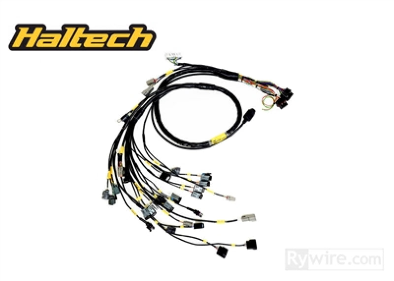 Rywire Honda B-Series (w/Haltech Elite 1500+) Eng Harn w/OBD1 Alt/EV1 Inj/AEM IAT & MAP (Adapt. Req) - Mammoth Racing -