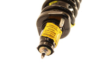 KYB Shocks & Struts Strut Plus Rear Left HONDA CR-V 2006-2005 - Mammoth Racing -